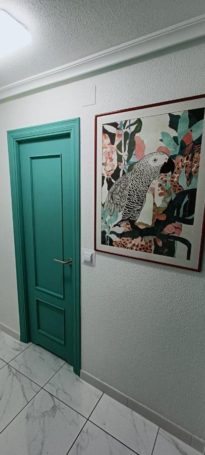 Apartament Casa Milo Playa Los Locos 또레비에하 외부 사진