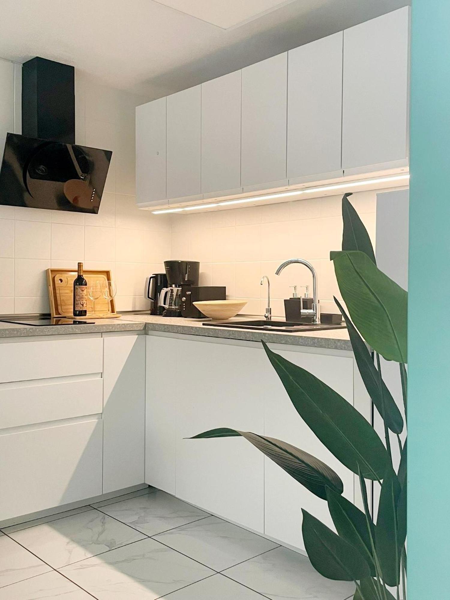 Apartament Casa Milo Playa Los Locos 또레비에하 외부 사진